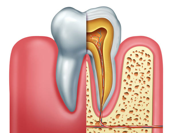 IMG-root-canal-GettyImages-924927726